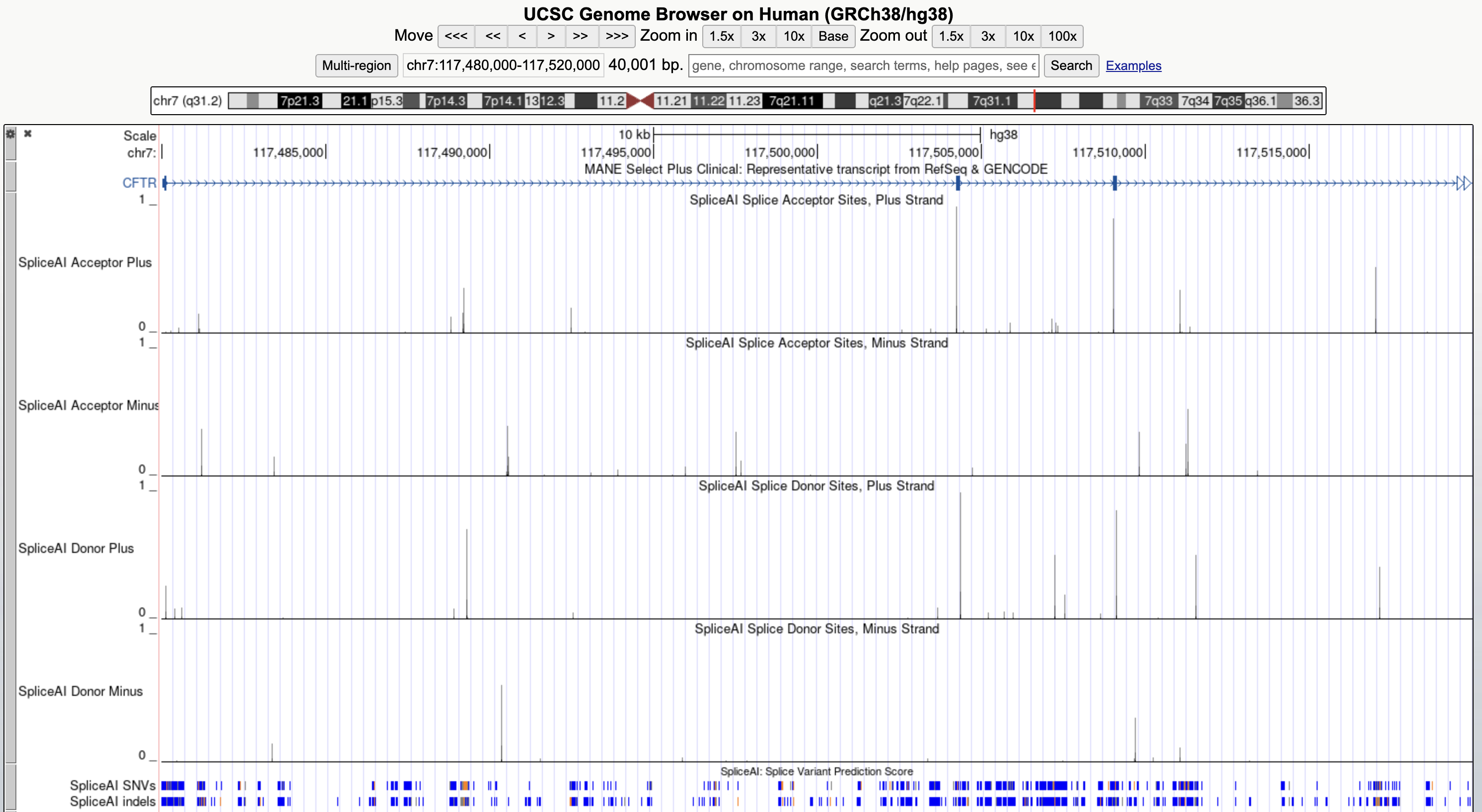 SpliceAI Wildtype track display for the CFTR region