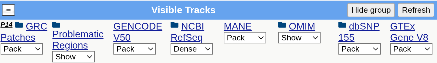 Visible Tracks group